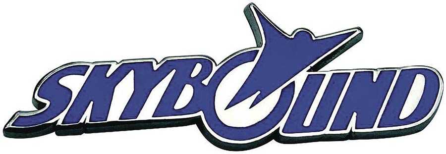 Skybound Logo Pin