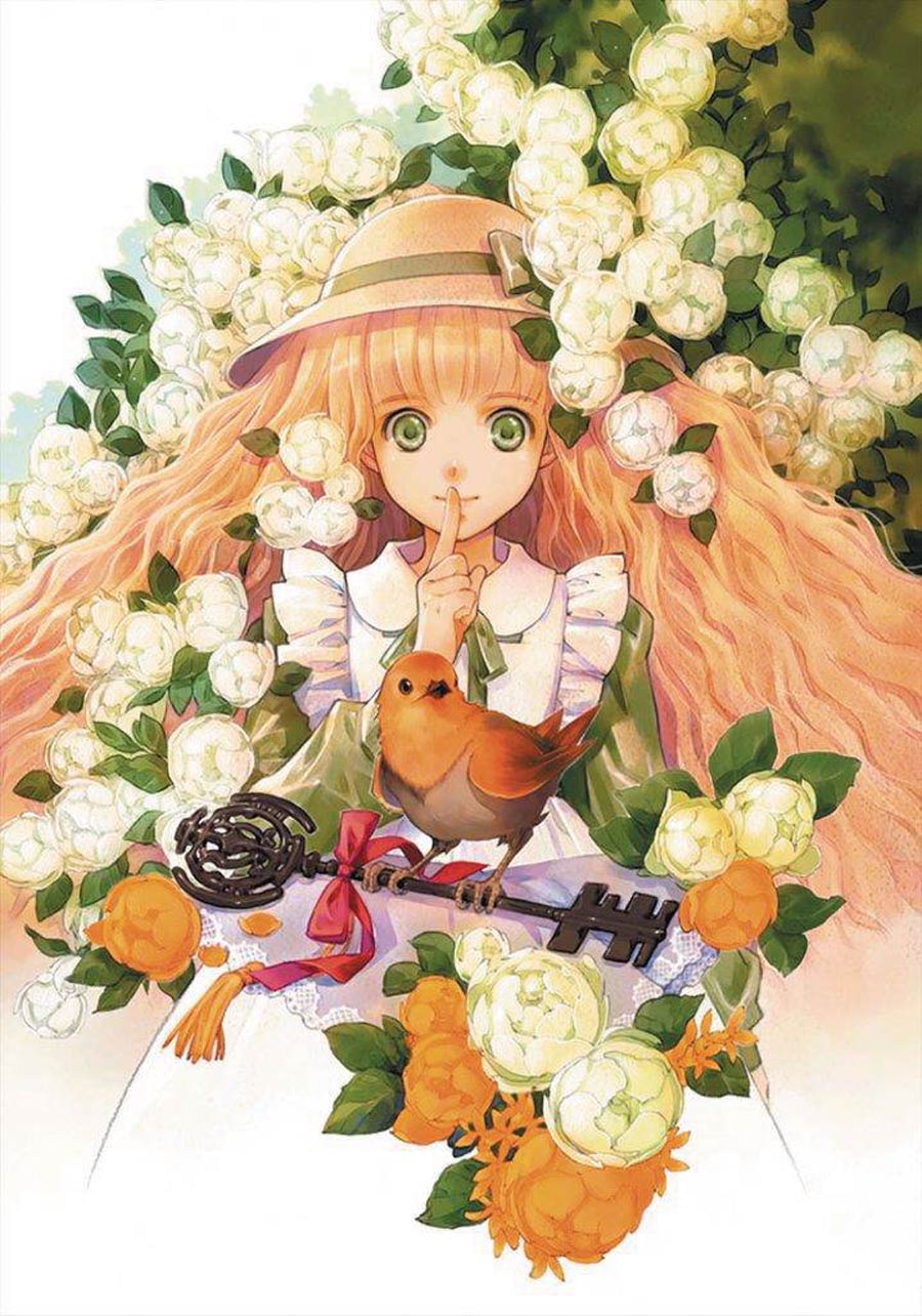 Secret Garden Illustrated SC