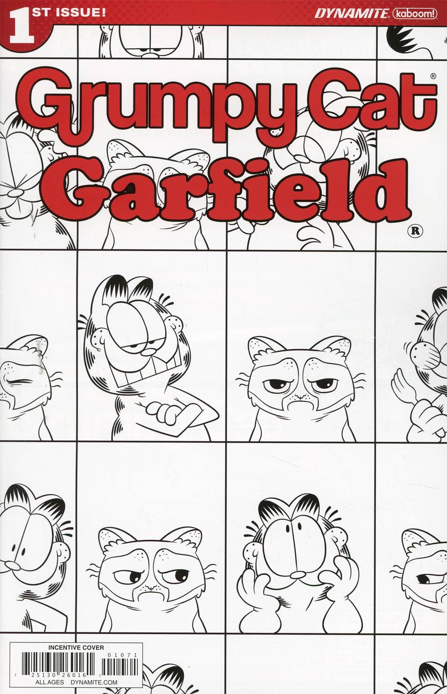 Grumpy Cat Garfield #1 Cover G Incentive Andy Hirsch Black & White Cover
