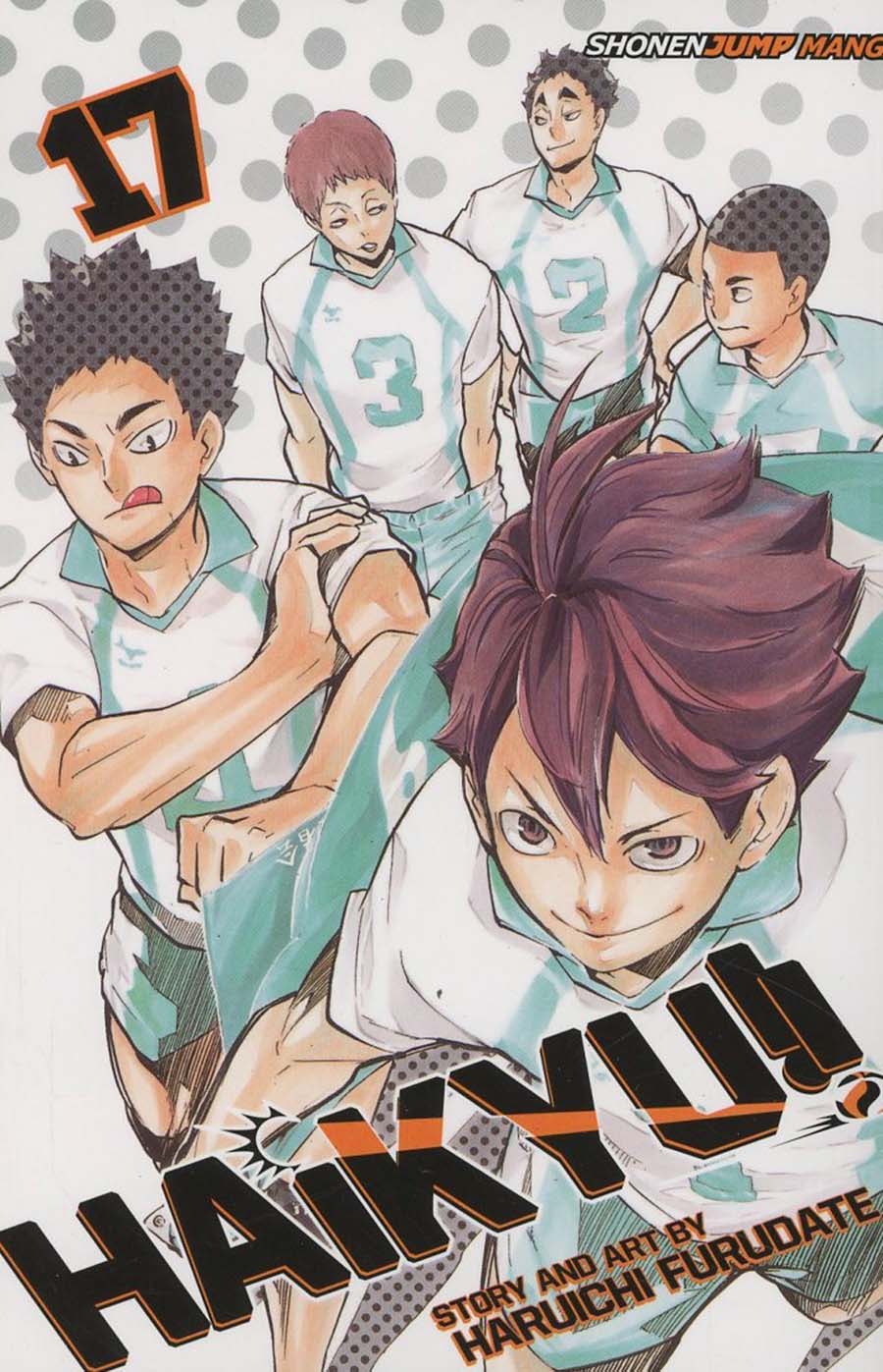 Haikyu Vol 17 GN