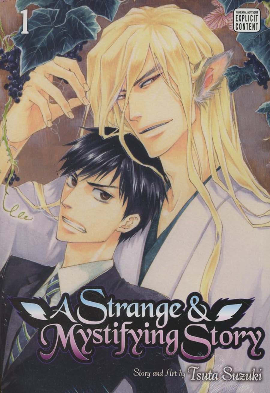 Strange And Mystifying Story Vol 1 GN