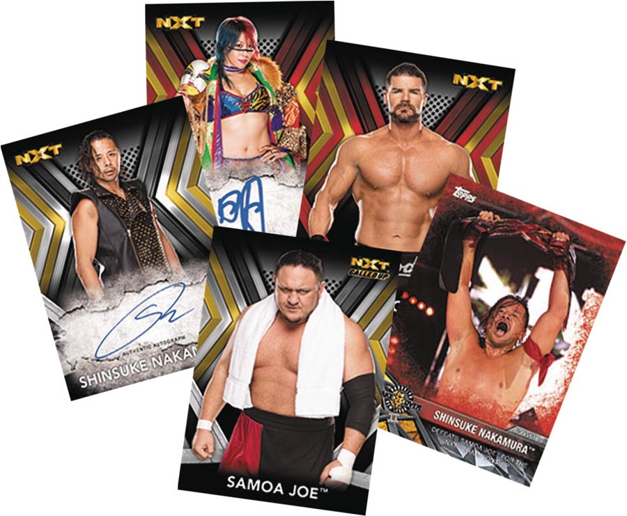 Topps 2017 WWE NXT Trading Cards Box