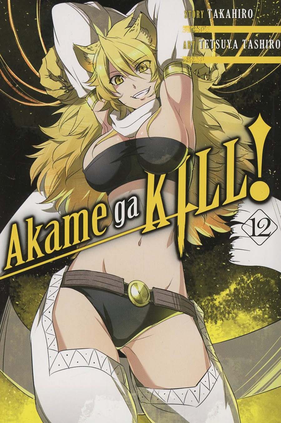 Akame Ga Kill Vol 12 GN