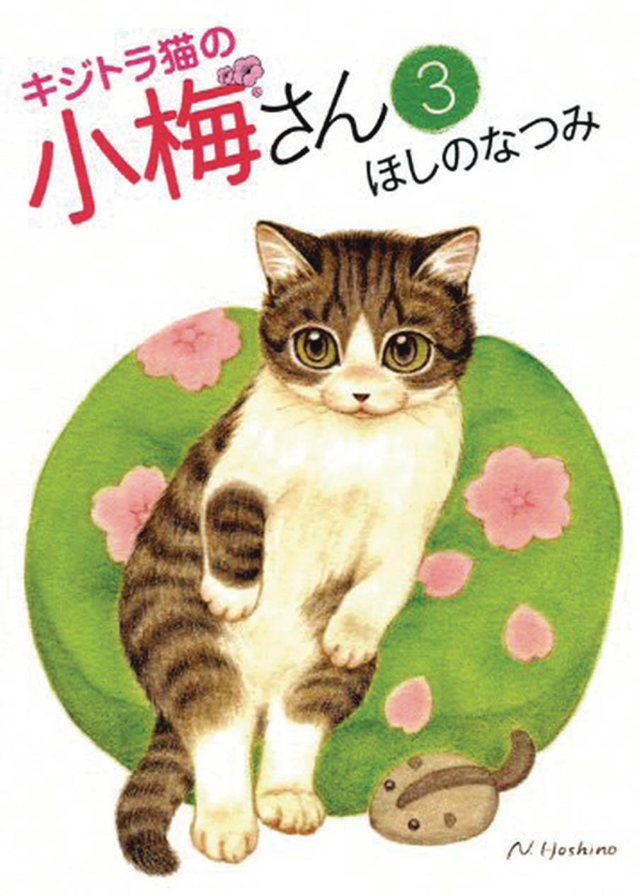 Plum Crazy Tales Of A Tiger-Striped Cat Vol 3 GN