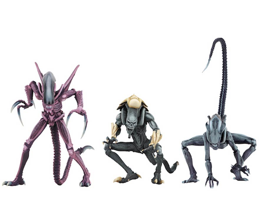 Aliens vs Predator Alien Arcade 7-Inch Action Figure Assortment Case