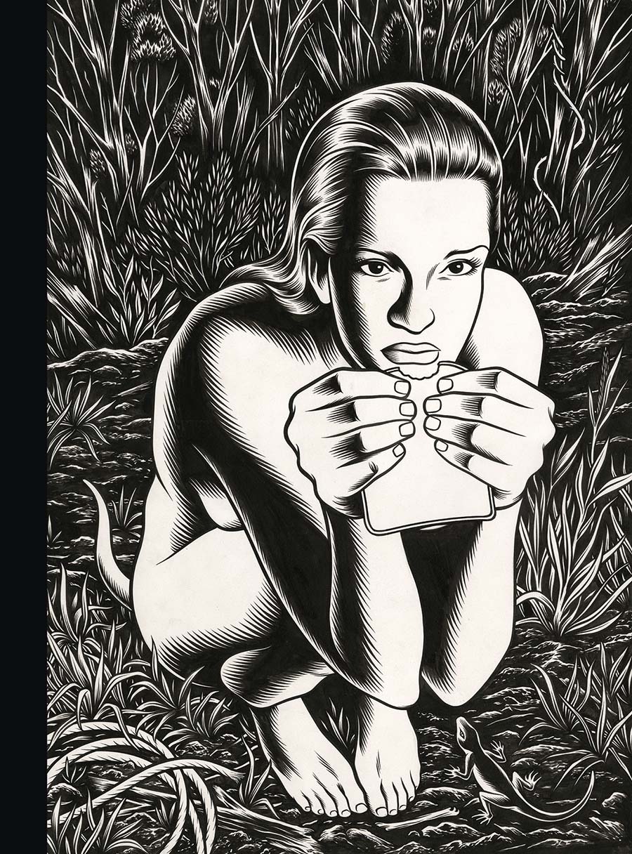 Fantagraphics Studio Edition Charles Burns Black Hole HC