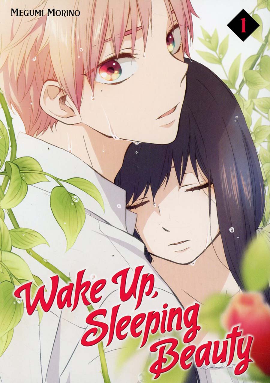 Wake Up Sleeping Beauty Vol 1 GN