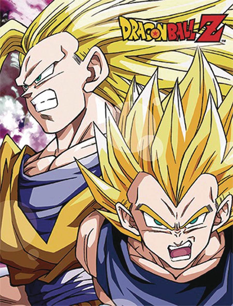 Dragon Ball Z Super Saiyan 3 Goku & Super Saiyan 2 Vegeta Sublimation Throw Blanket
