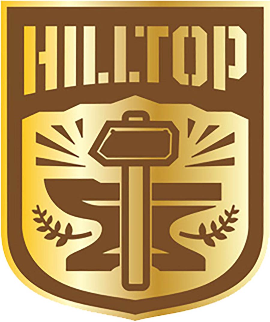 Walking Dead Pin - Hilltop Faction