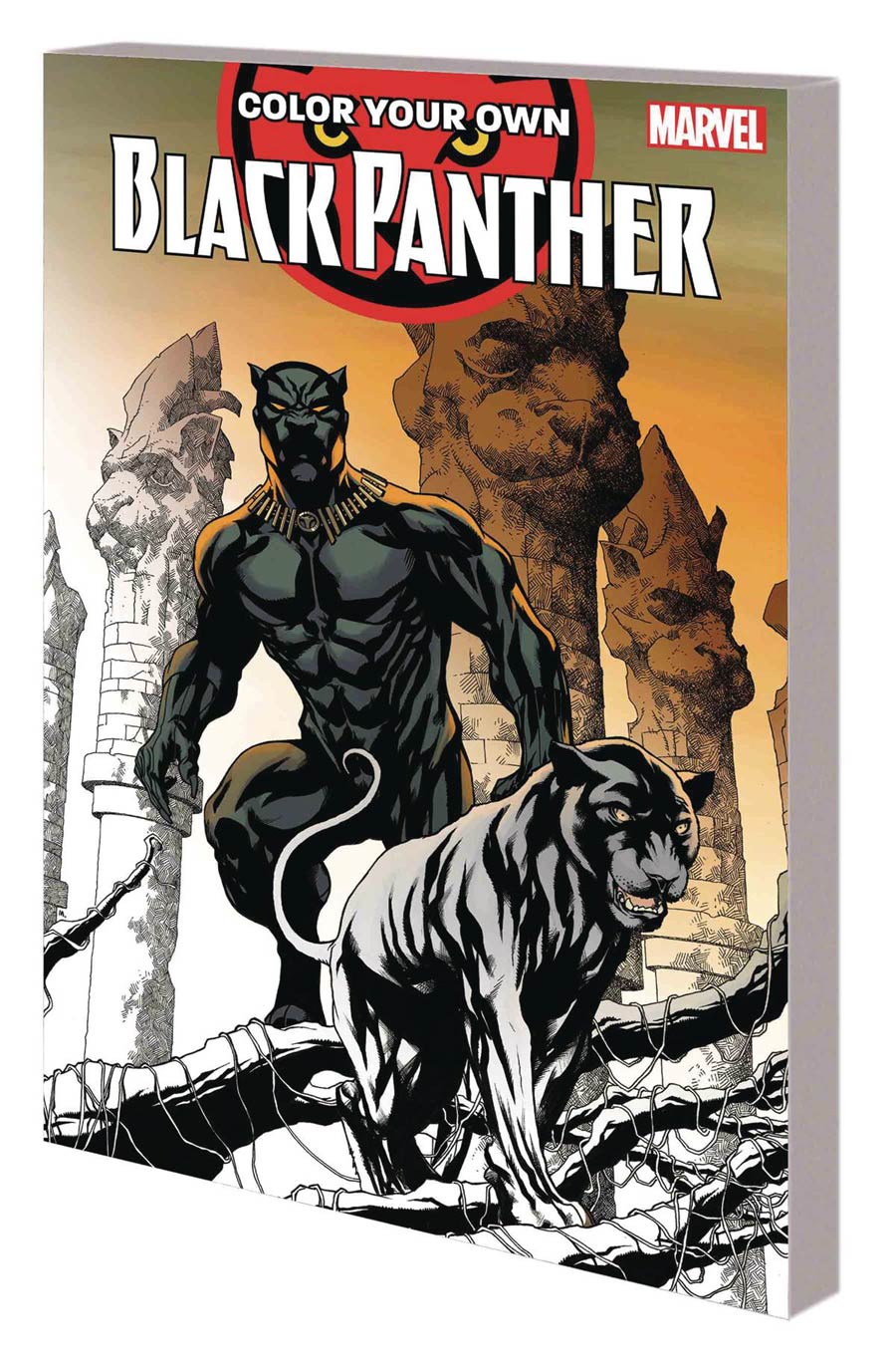 Color Your Own Black Panther TP