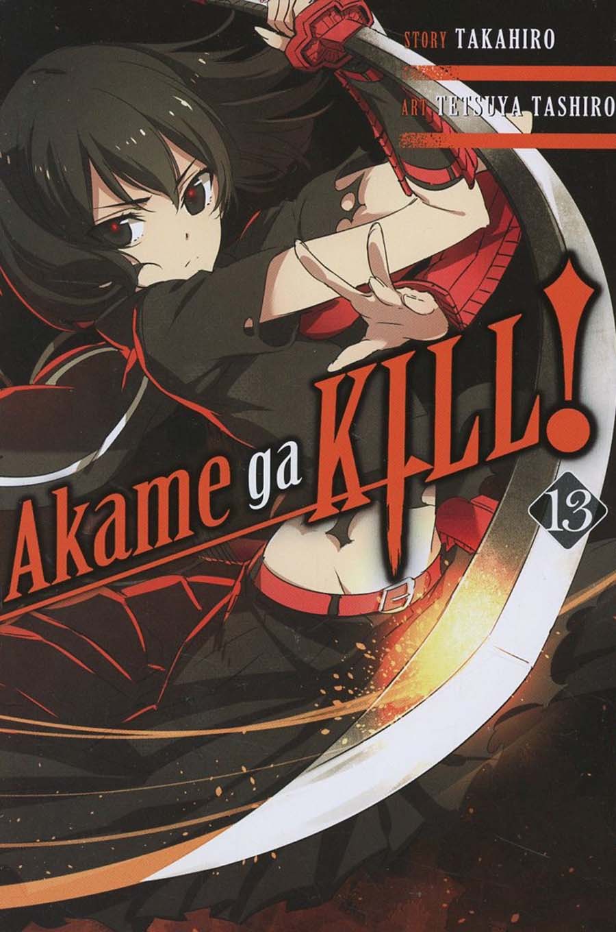 Akame Ga Kill Vol 13 GN