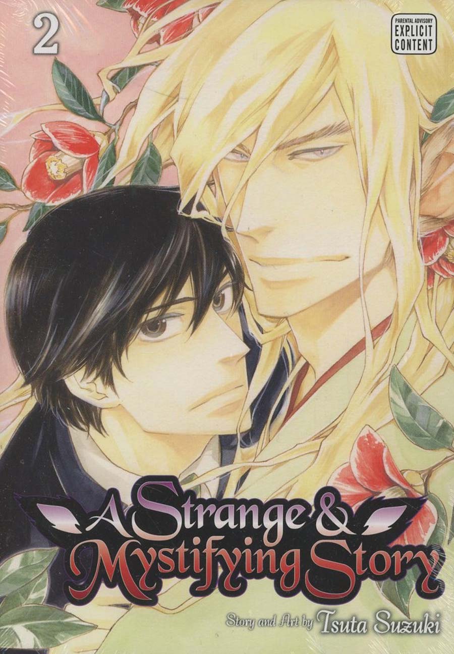 Strange And Mystifying Story Vol 2 GN