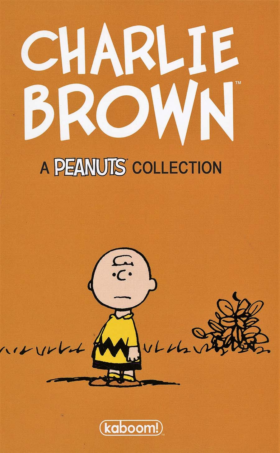 Charlie Brown A Peanuts Collection HC