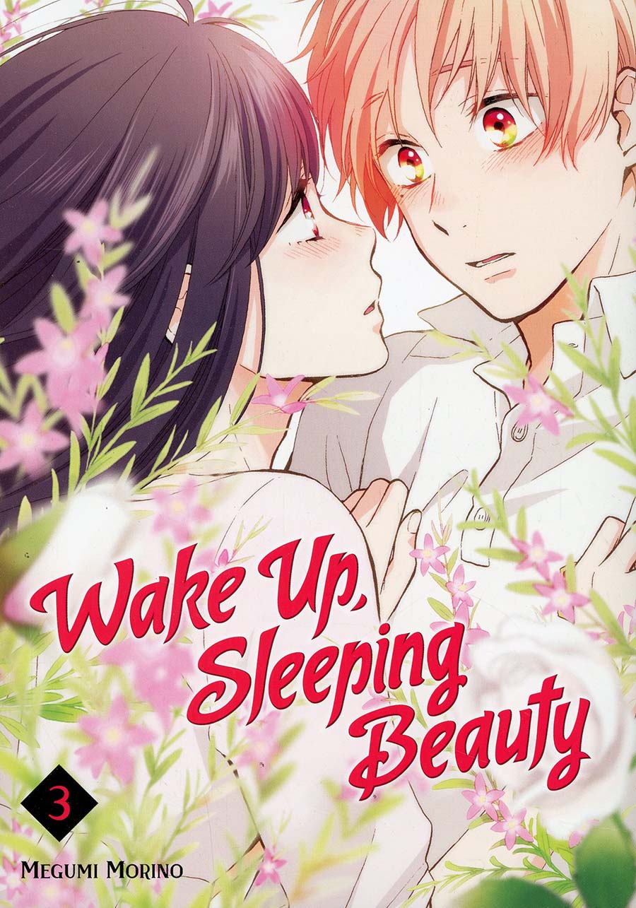 Wake Up Sleeping Beauty Vol 3 GN