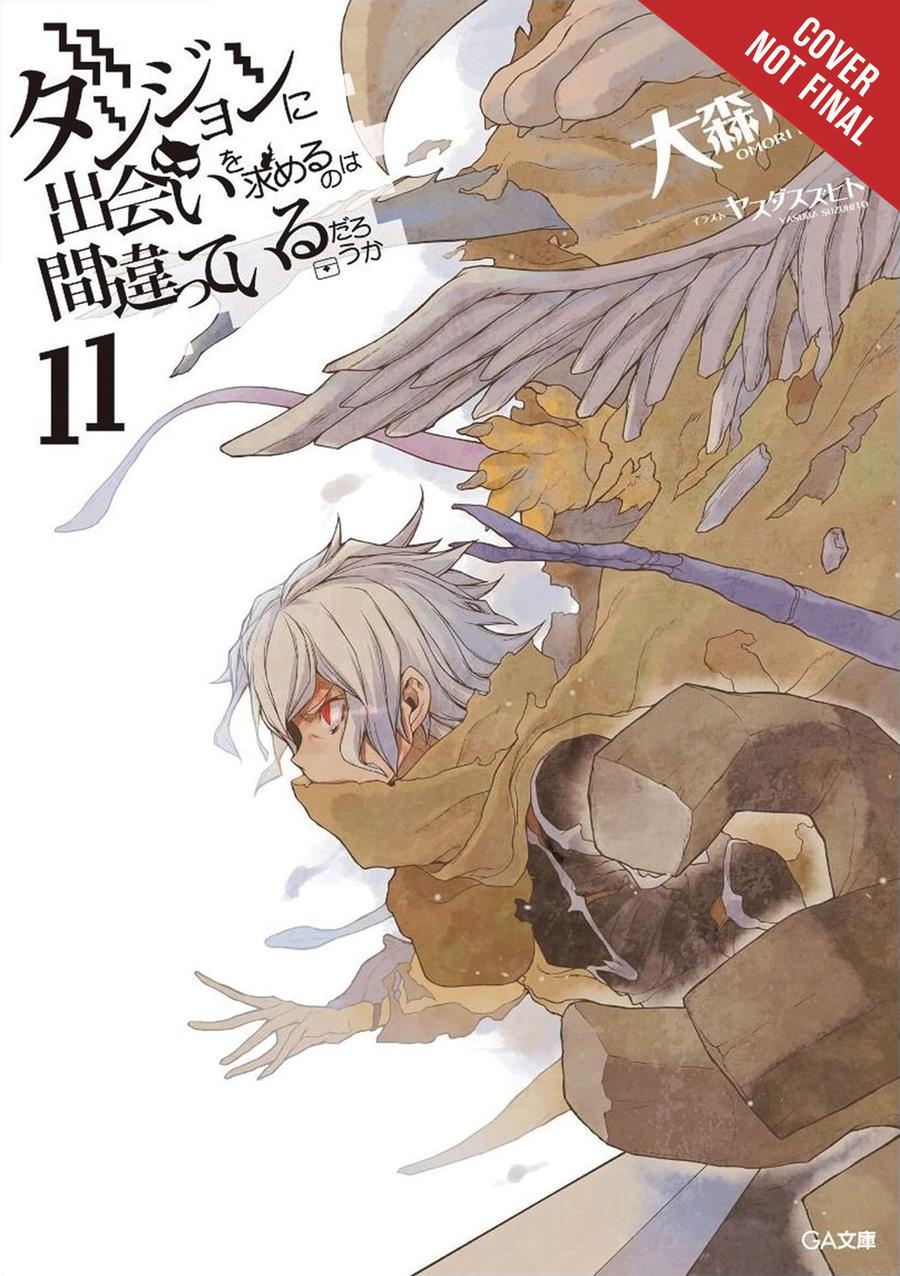 Is It Wrong To Try To Pick Up Girls In A Dungeon Novel Vol 11