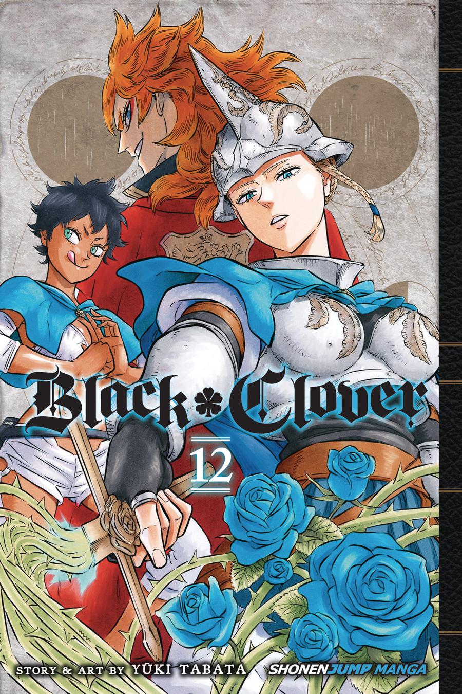 Black Clover Vol 12 GN