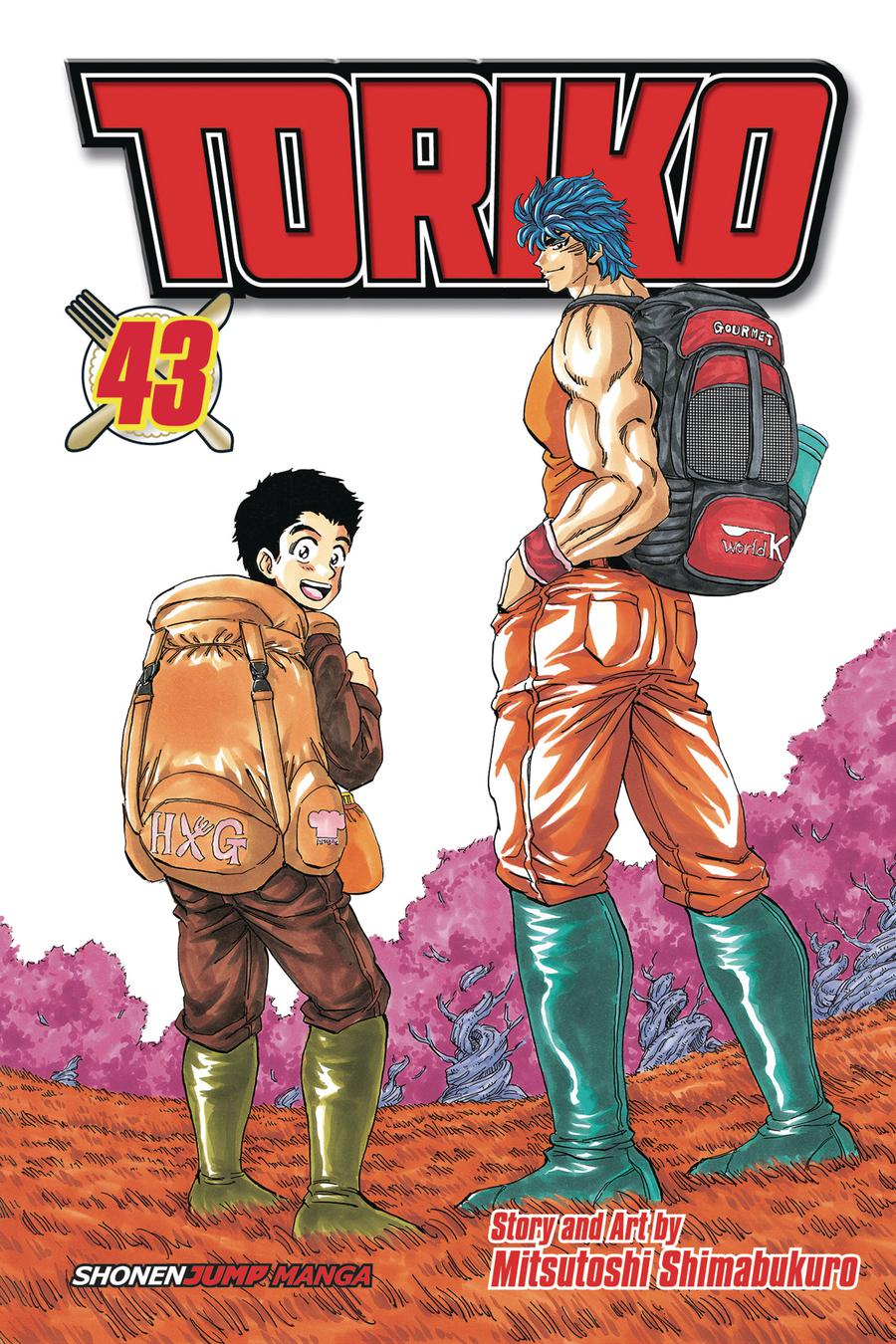 Toriko Vol 43 GN