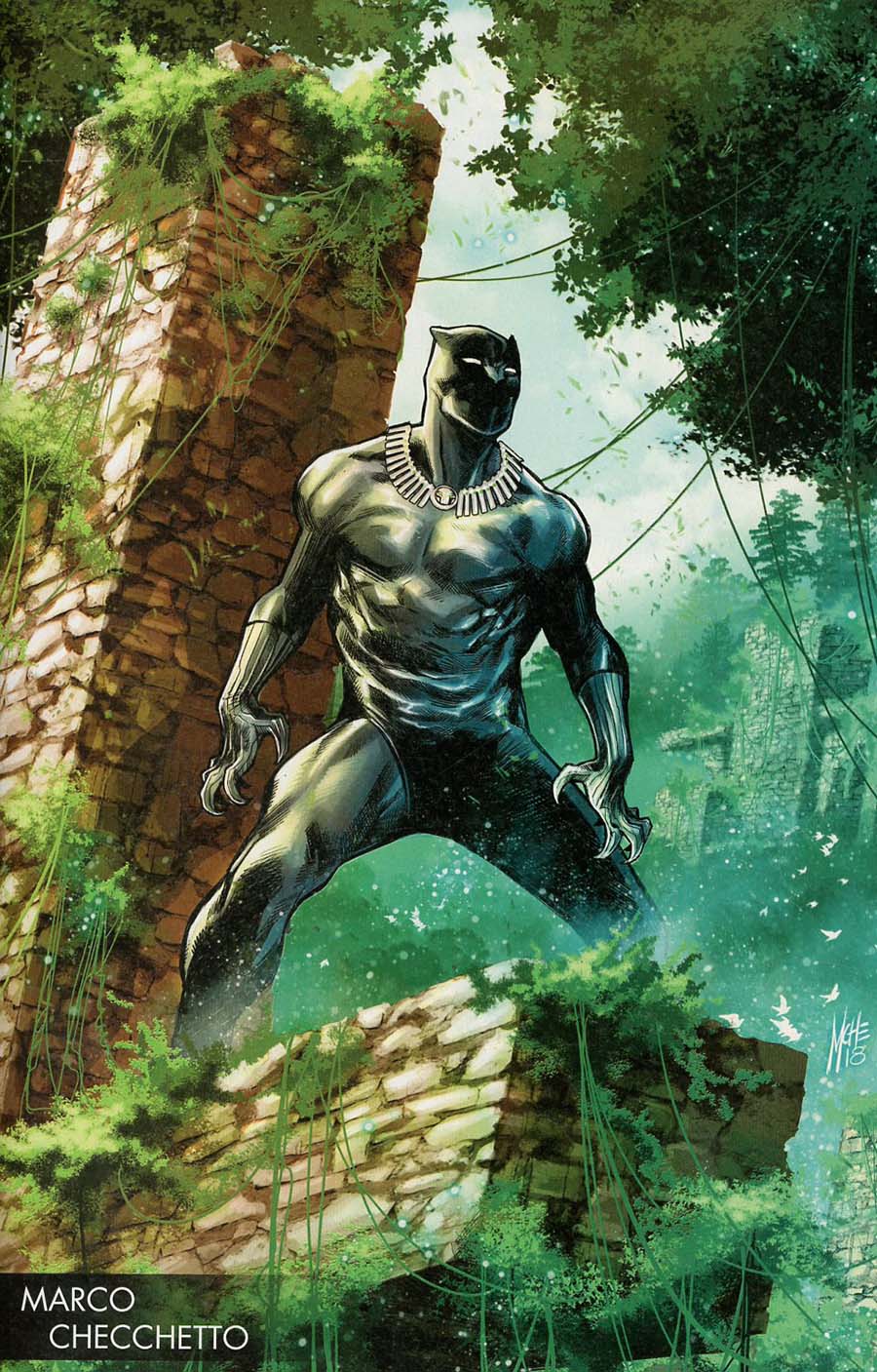 Black Panther Vol 6 #170 Cover D Incentive Marco Checchetto Young Guns Variant Cover