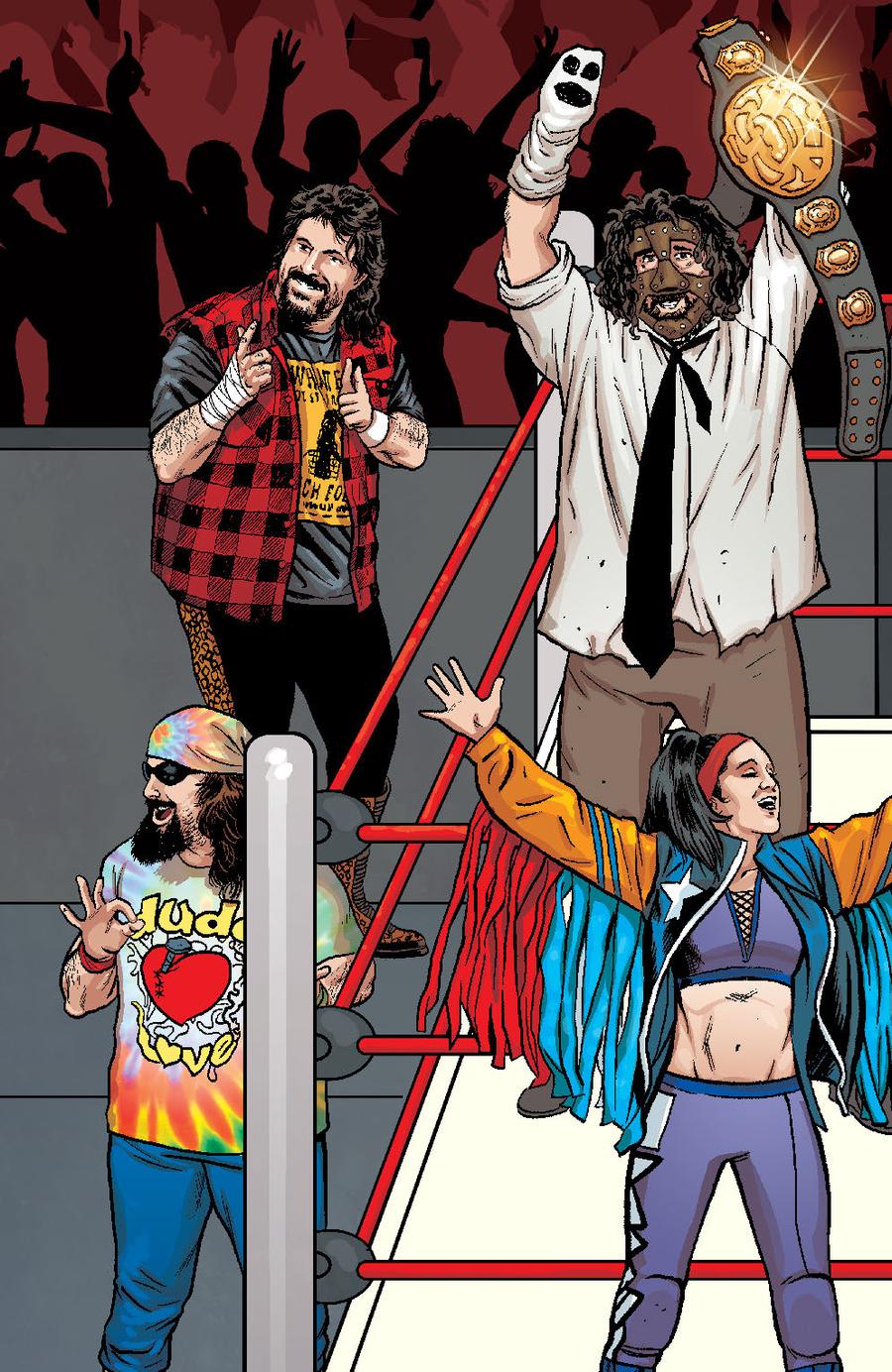 WWE #17 Cover C Variant Brent Schoonover RAW Connecting Cover