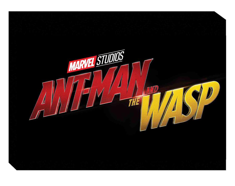 Art Of Marvels Ant-Man And The Wasp HC