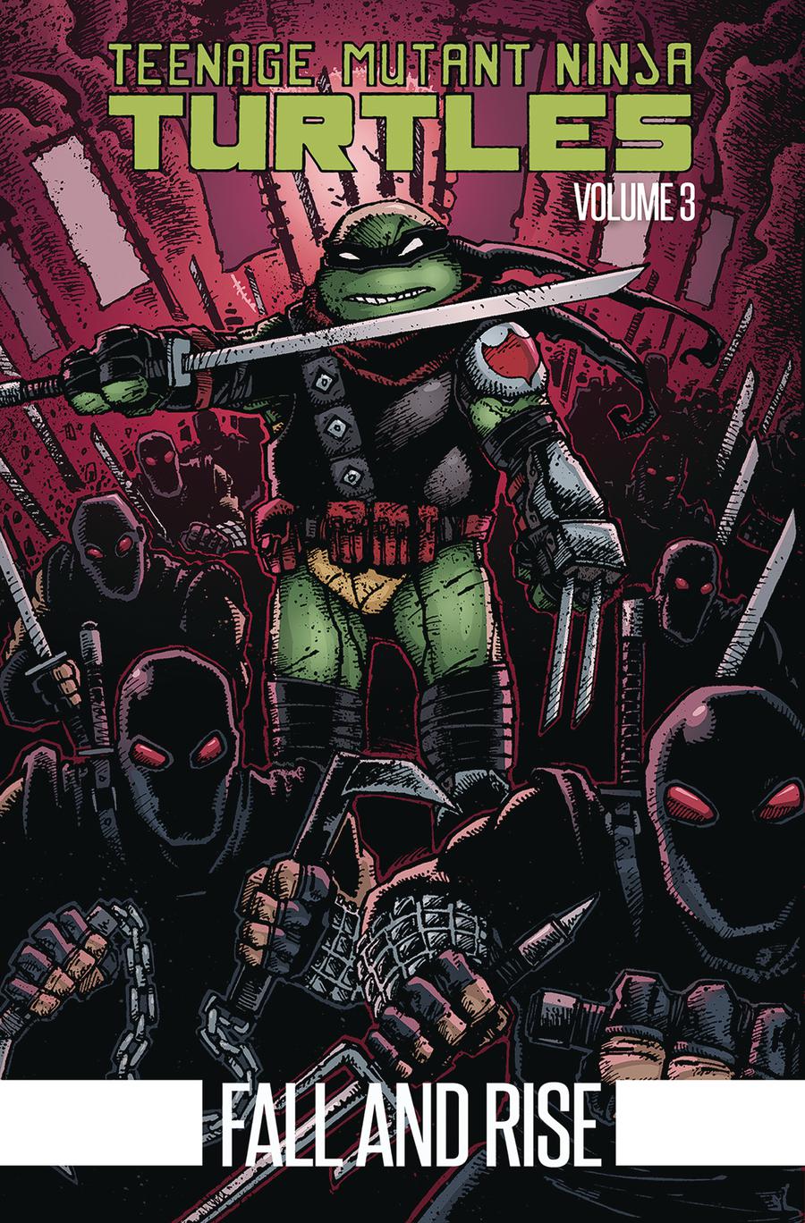 Teenage Mutant Ninja Turtles Vol 3 Fall And Rise TP