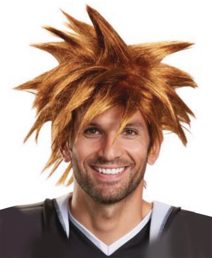 Kingdom Hearts Sora Wig