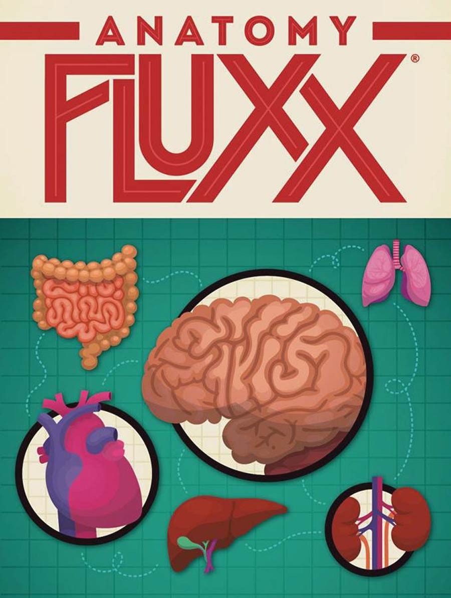 Anatomy Fluxx Display (6-Count)