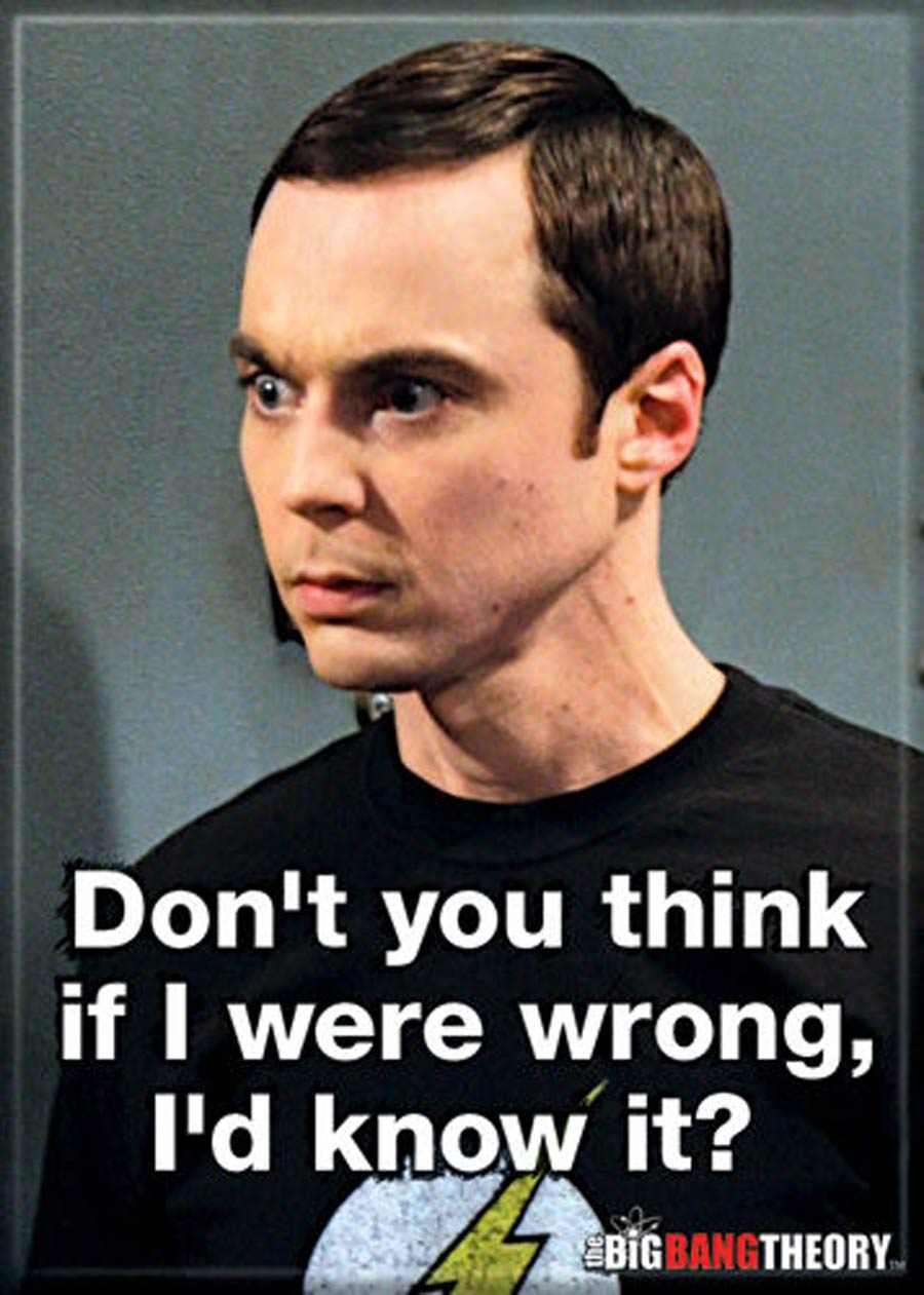 Big Bang Theory 2.5x3.5-inch Magnet - Sheldon Wrong (71802BBT)