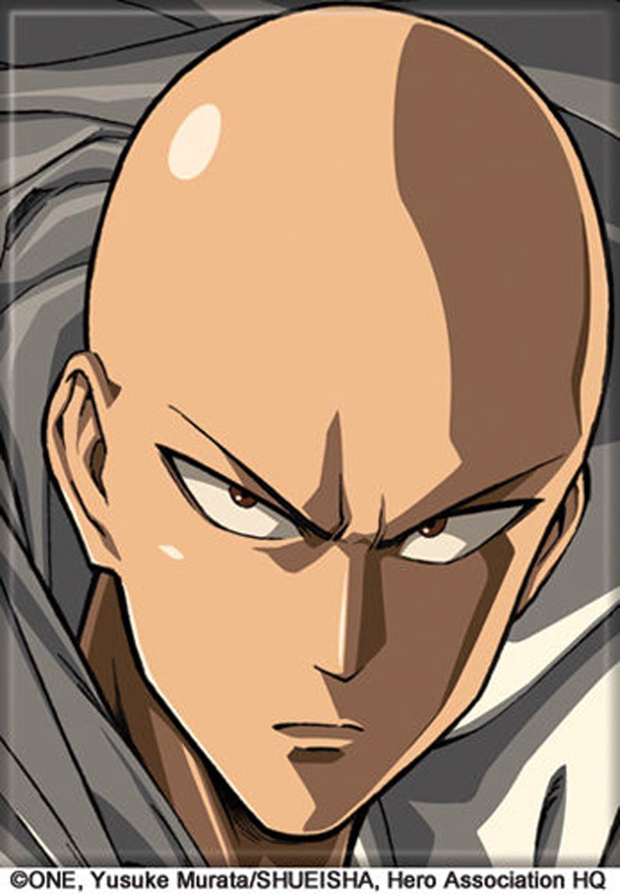 One-Punch Man 2.5x3.5-inch Magnet - Saitama Serious (72198PM)