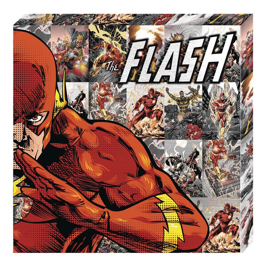 DC Heroes Metallic Canvas Art Print - Flash