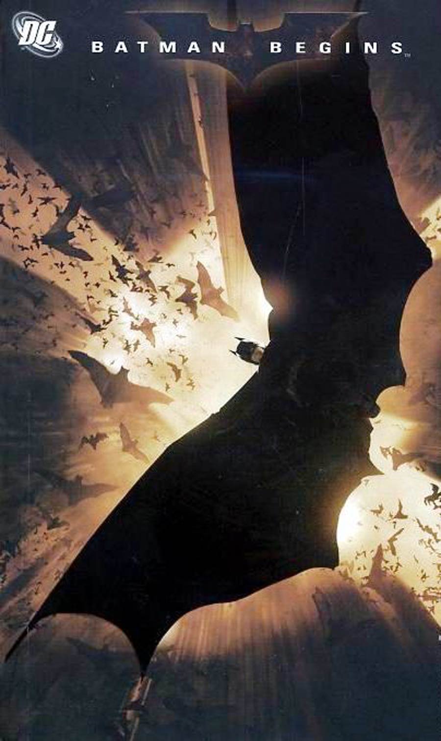 Batman Begins Special DVD Issue