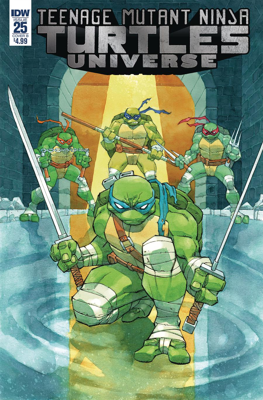 Teenage Mutant Ninja Turtles Universe #25 Cover B Variant Nelson Daniel Cover