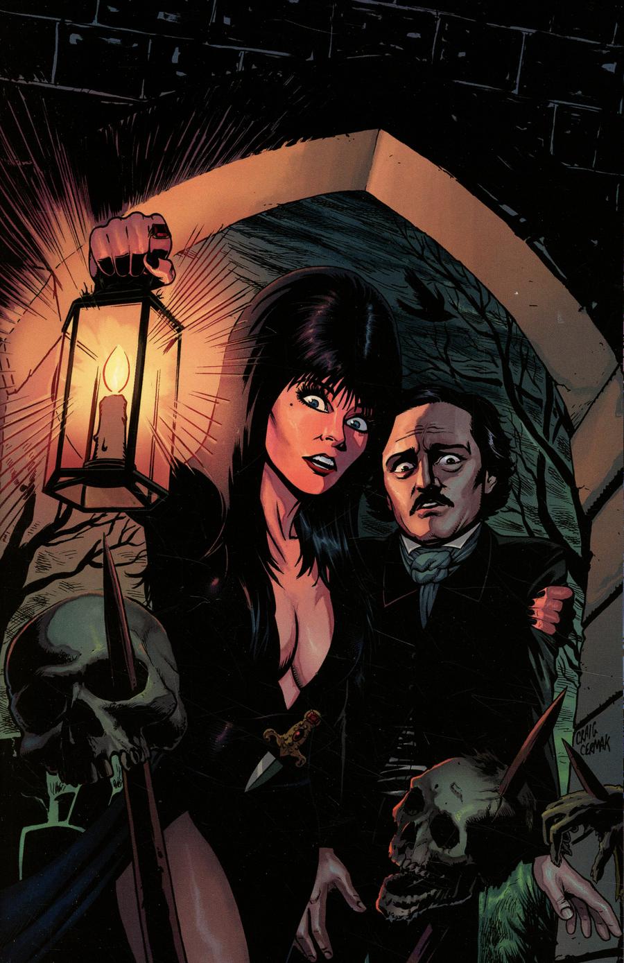 Elvira Mistress Of The Dark Vol 2 #2 Cover E Incentive Craig Cermak Virgin Cover