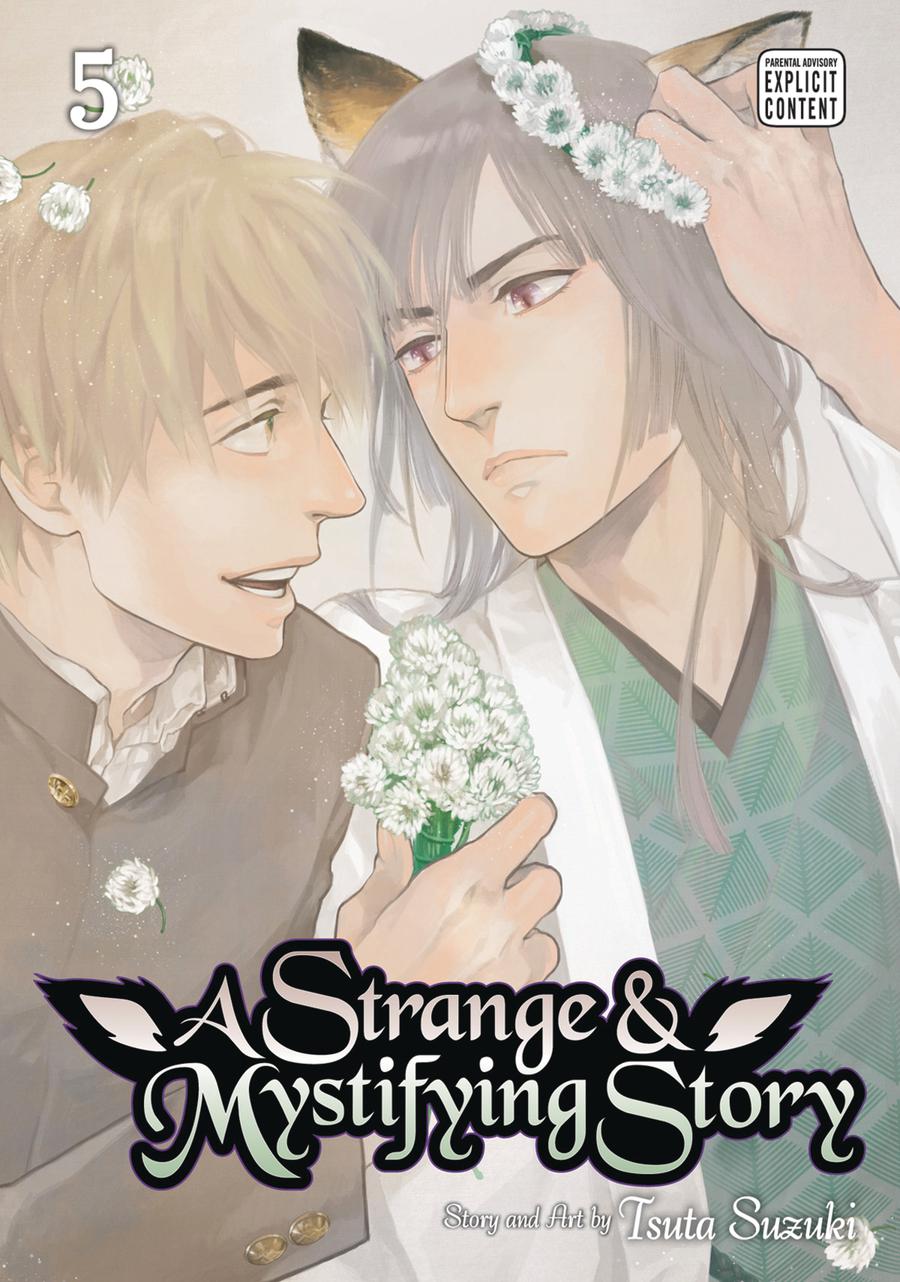 Strange And Mystifying Story Vol 5 GN