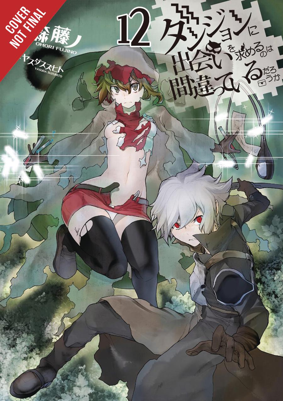 Is It Wrong To Try To Pick Up Girls In A Dungeon Novel Vol 12