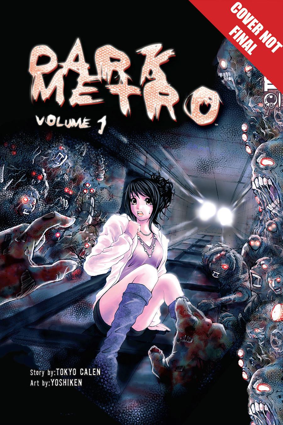 Dark Metro Ultimate Edition GN