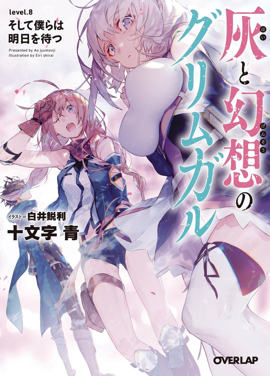 Grimgar Of Fantasy & Ash Light Novel Vol 8