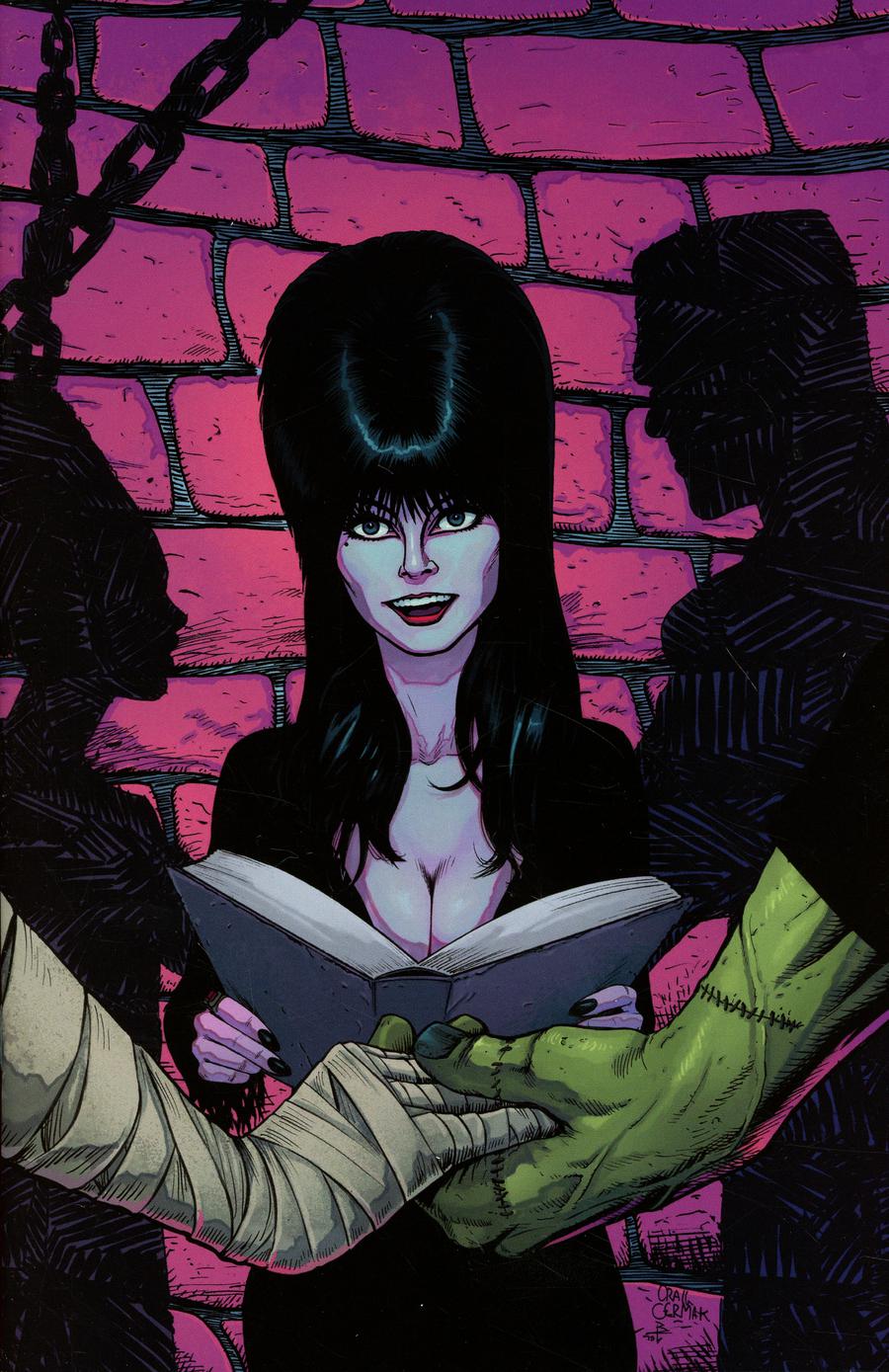 Elvira Mistress Of The Dark Vol 2 #4 Cover F Incentive Craig Cermak Virgin Cover