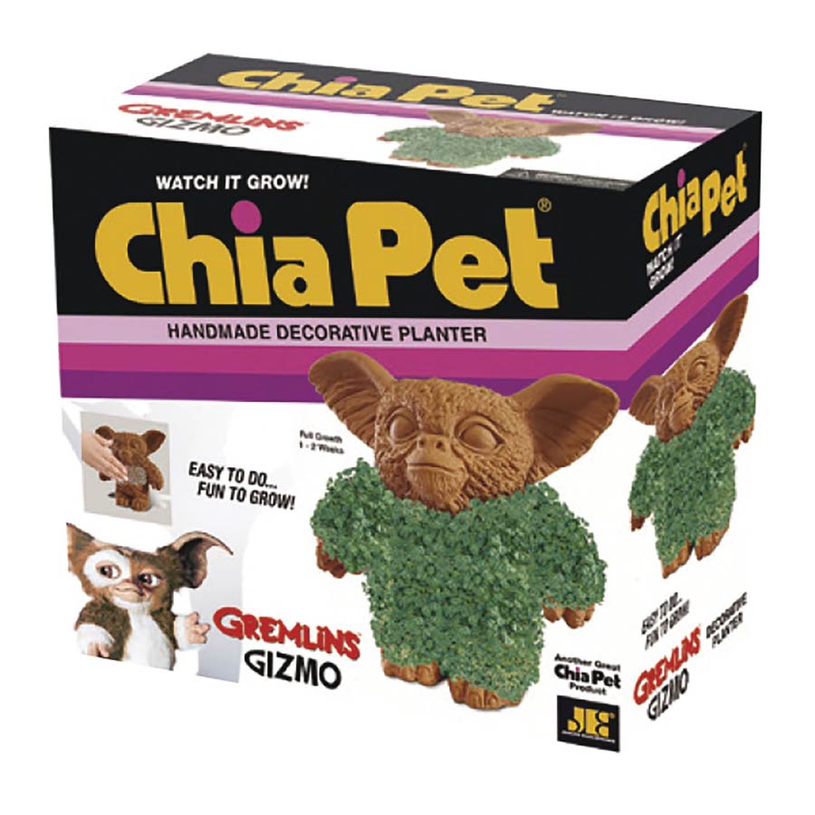 Chia Pet - Gizmo