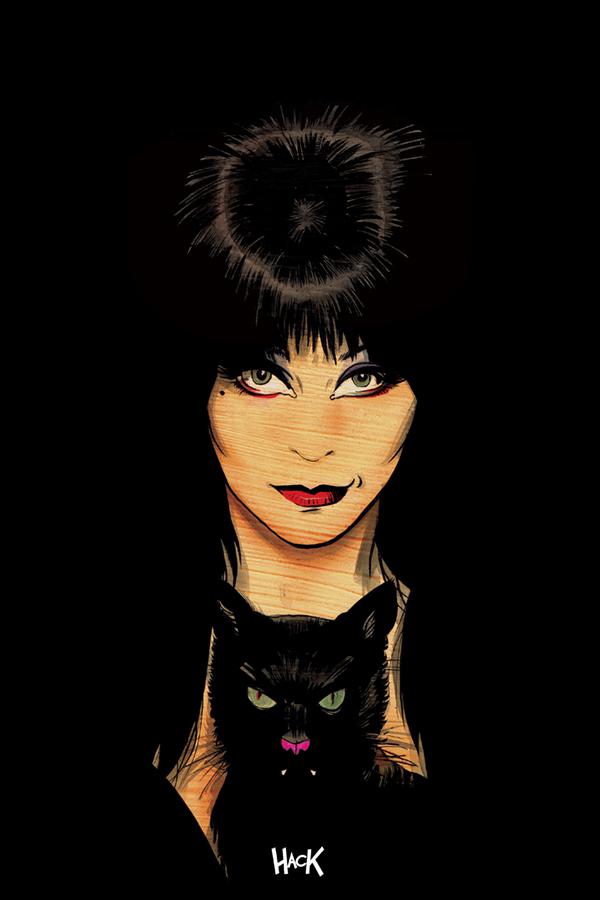 Elvira Mistress Of The Dark Vol 2 #5 Cover H Incentive Robert Hack Virgin Cover