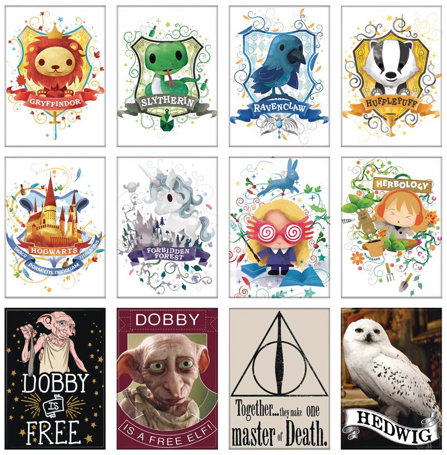 Harry Potter Charm II Magnet 48-Piece Assortment Case