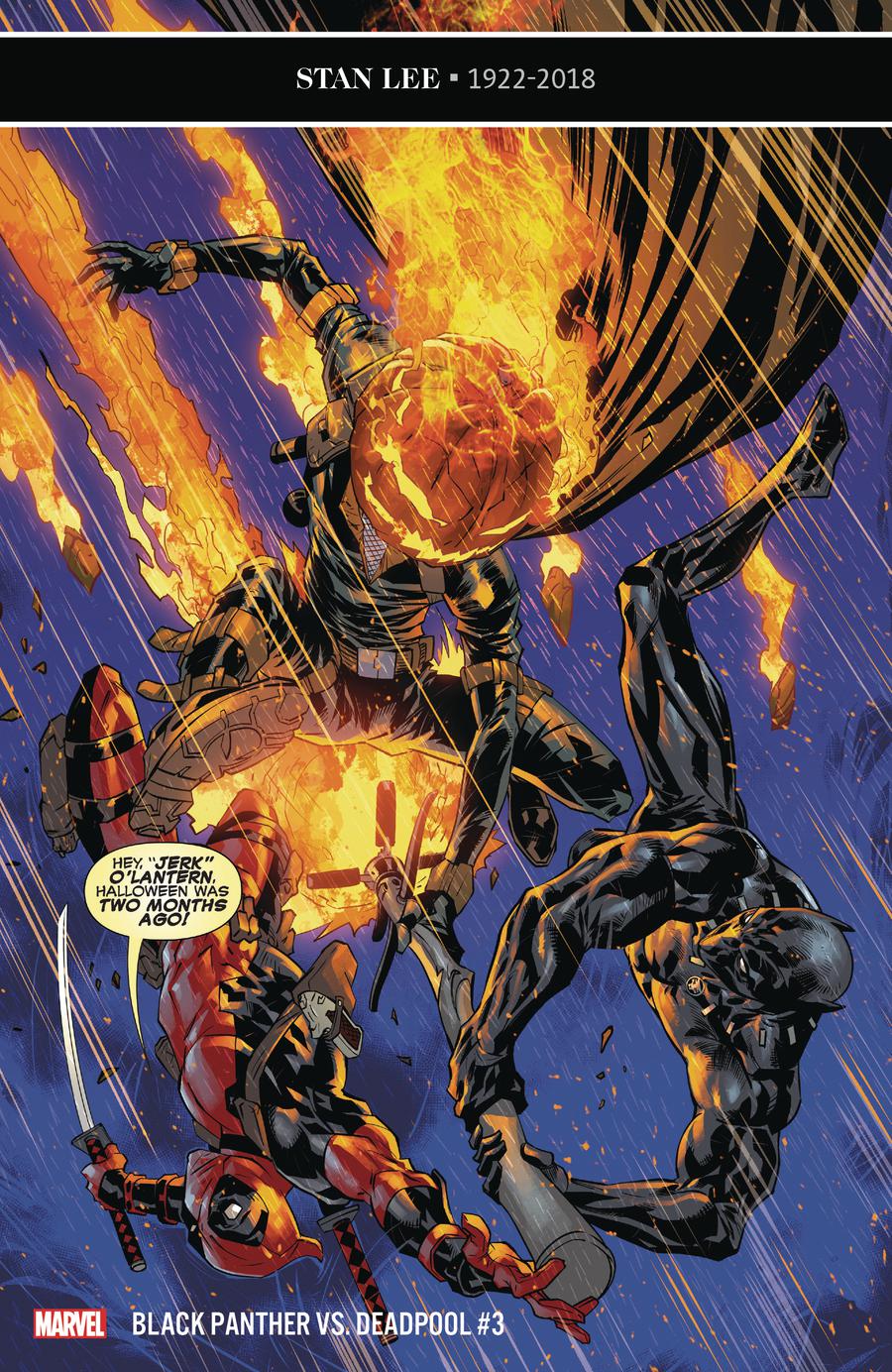 Black Panther vs Deadpool #3 Cover A Regular Ryan Benjamin & Rain Beredo Cover