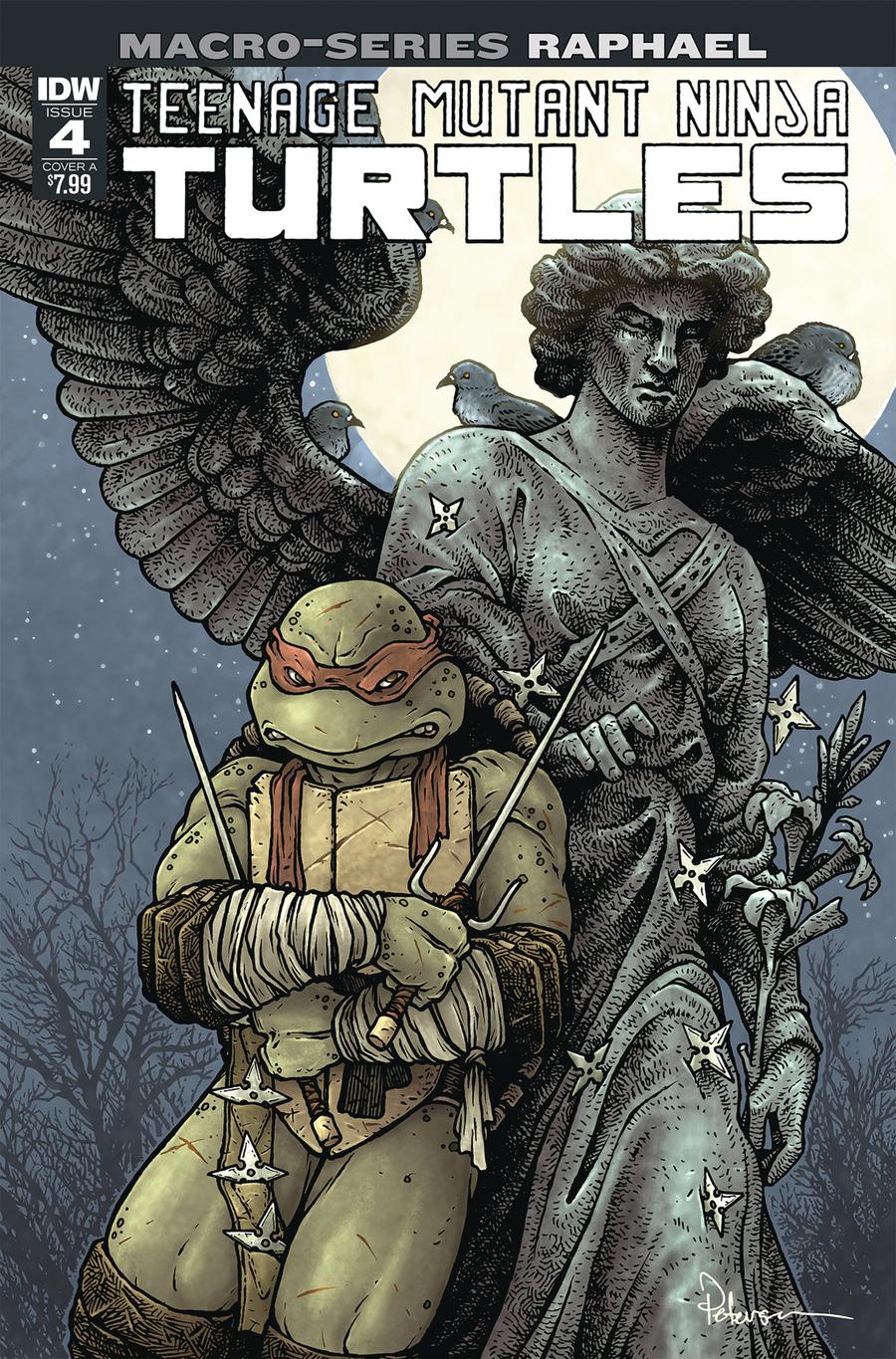 Teenage Mutant Ninja Turtles Macro-Series Raphael Cover A Regular David Petersen Cover