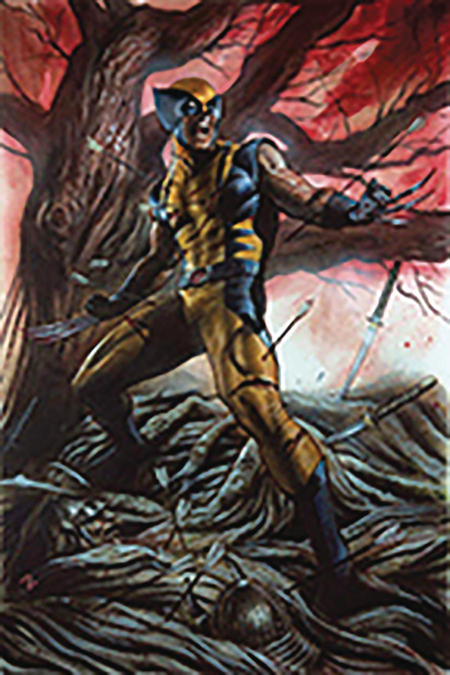 Return Of Wolverine #1 Cover Z-G DF CSA Exclusive Adi Granov Virgin Variant Cover