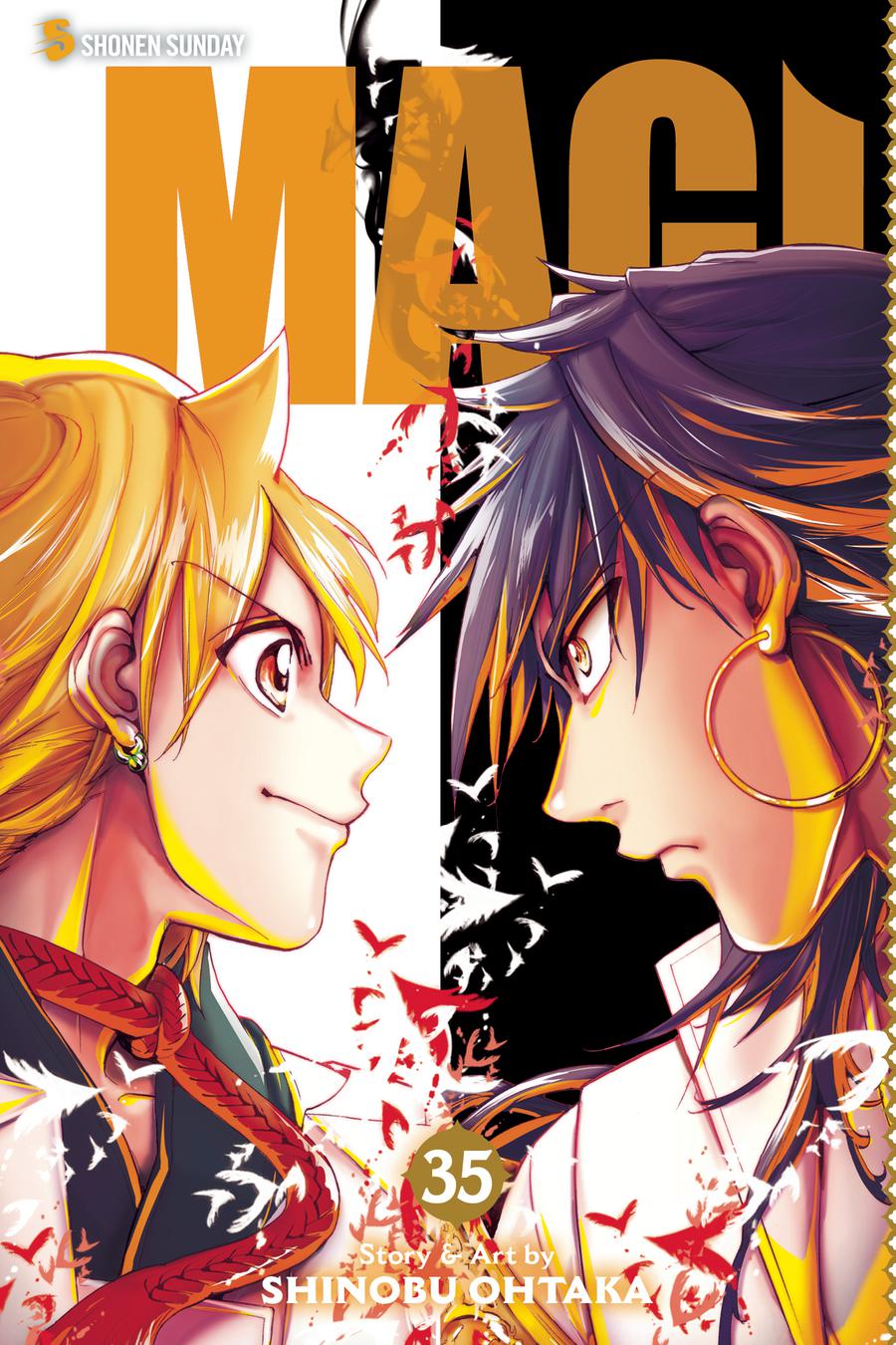 Magi Labyrinth Of Magic Vol 35 GN