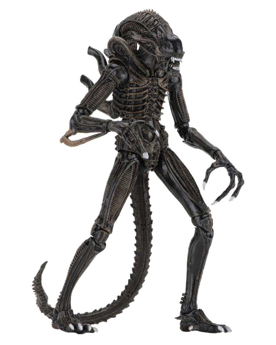 Aliens Ultimate Aliens Warrior 7-Inch Brown Action Figure
