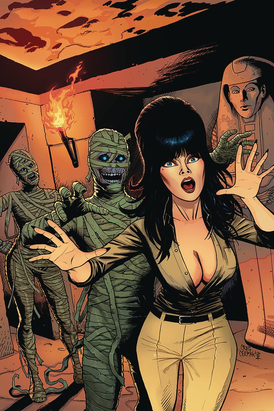 Elvira Mistress Of The Dark Vol 2 #11 Cover F Incentive Craig Cermak Virgin Cover