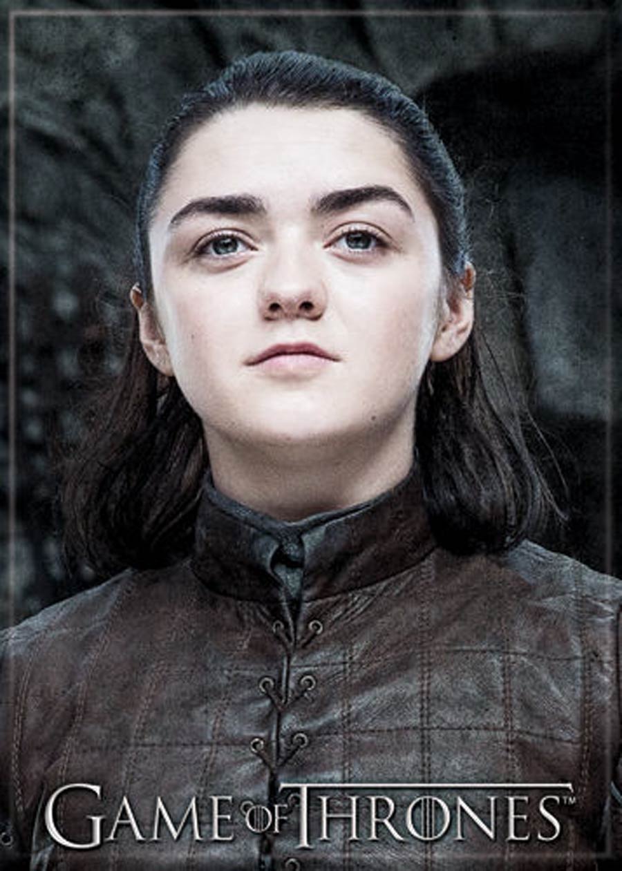 Game Of Thrones 2.5x3.5-inch Magnet - Arya Stark (73206GT)