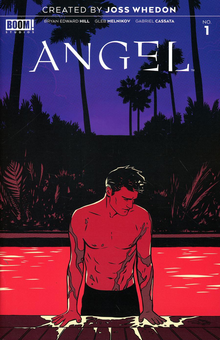 Angel Vol 4 #1 Cover D Incentive Boris Pelcer Variant Cover