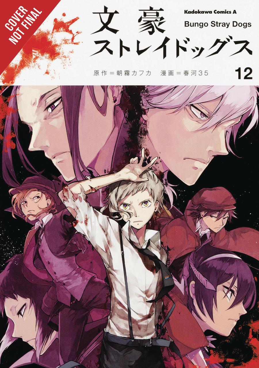 Bungo Stray Dogs Vol 12 GN